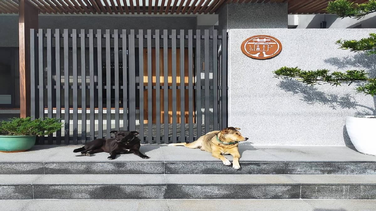 Chez Mina為充滿特色的佗寂風民宿。