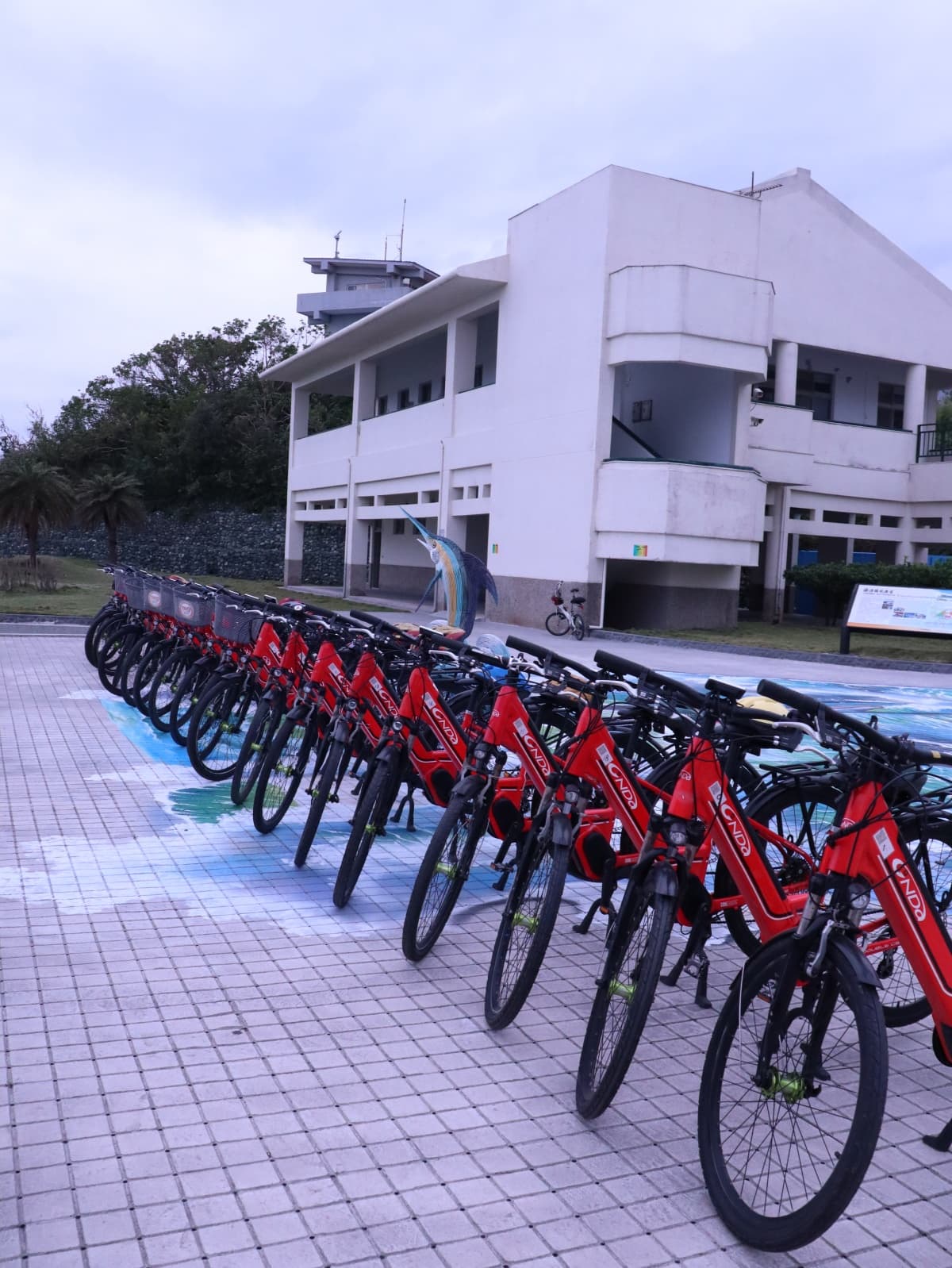 台東秋冬跳島這樣玩!騎電輔車探訪小鎮、去綠島潛水只要1小時 台東秋冬跳島這樣玩!騎電輔車探訪小鎮、去綠島潛水只要1小時
