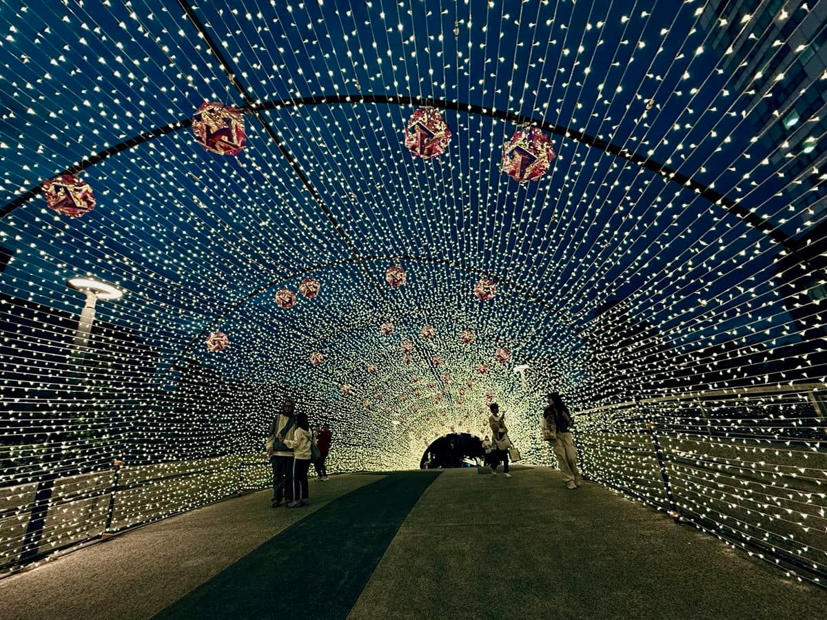 台北最美燈海樂園！餐車、美食聖誕市集免費逛，還能打卡４公尺巨型藍鯨