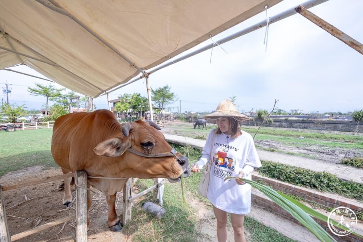 宜蘭農場推薦Top17:最新親子農場、餵食樹懶、全台首創袋鼠互動區 宜蘭農場推薦Top17:最新親子農場、餵食樹懶、全台首創袋鼠互動區