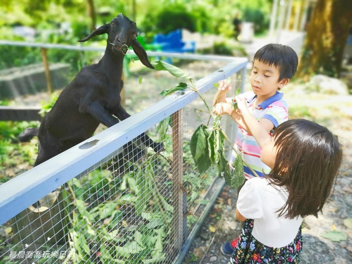 宜蘭農場推薦Top17:最新親子農場、餵食樹懶、全台首創袋鼠互動區 宜蘭農場推薦Top17:最新親子農場、餵食樹懶、全台首創袋鼠互動區