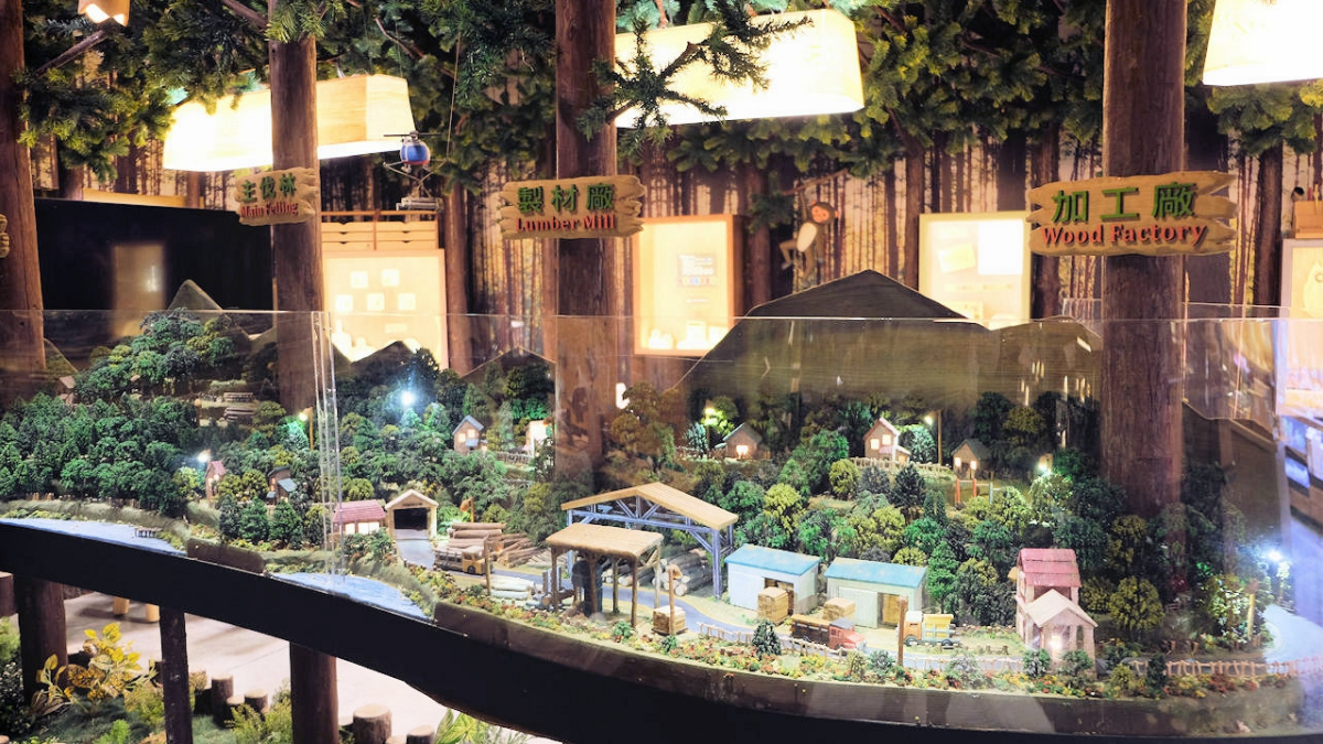 展示教育區，兩邊都是在展示著樹木的起源、林業發展的歷史。（圖片來源：觀景窗看世界。美麗無限）