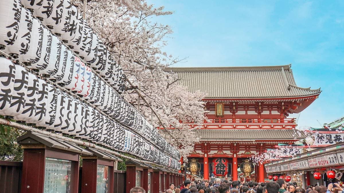 附近淺草寺為必逛景點。（圖片來源：吳東峻）