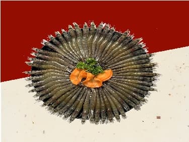 offer picture