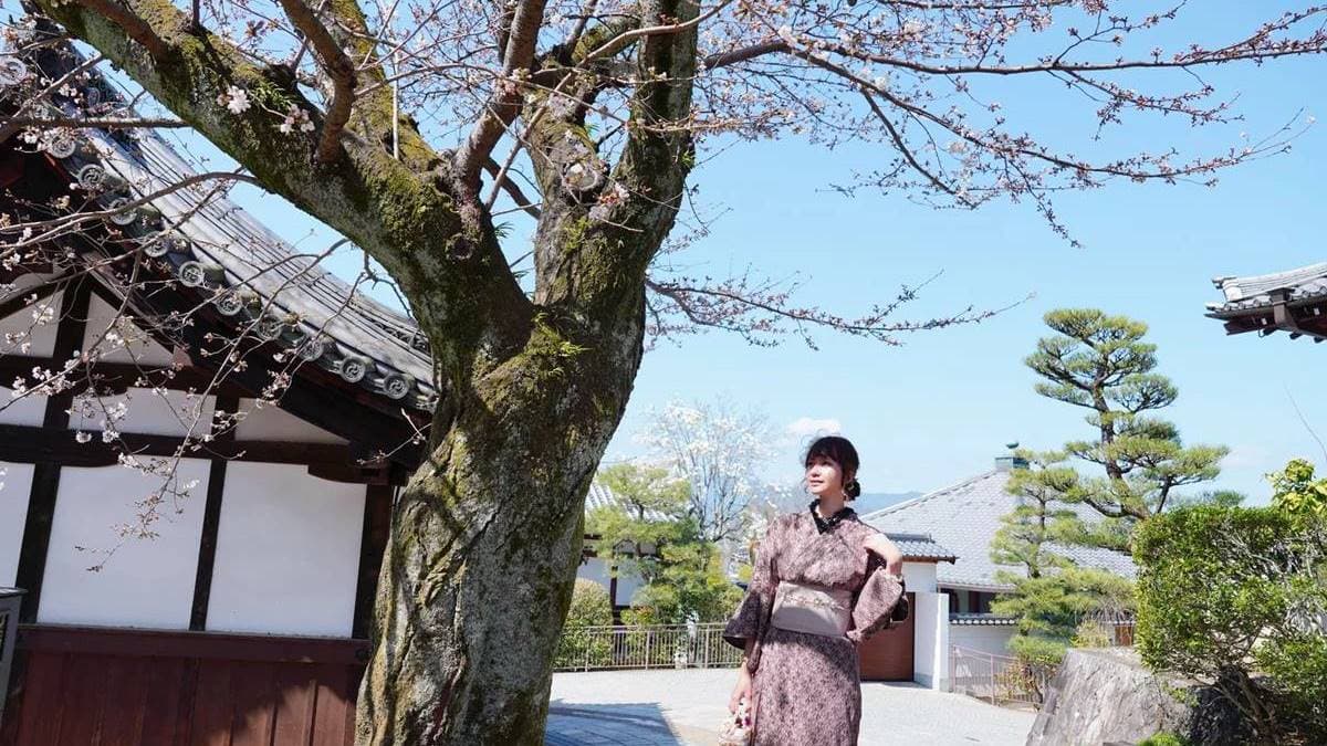 盛開的櫻花將清水寺染成夢幻的場景。（圖片來源：混血珊莎的奇幻旅程）