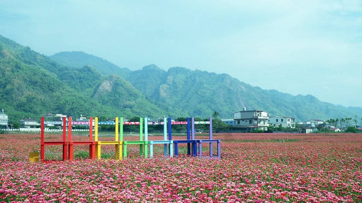 高雄走春賞花去!「2025美濃花海節」浪漫開跑,最佳賞花期、4大花海搶先看 高雄走春賞花去!「2025美濃花海節」浪漫開跑,最佳賞花期、4大花海搶先看