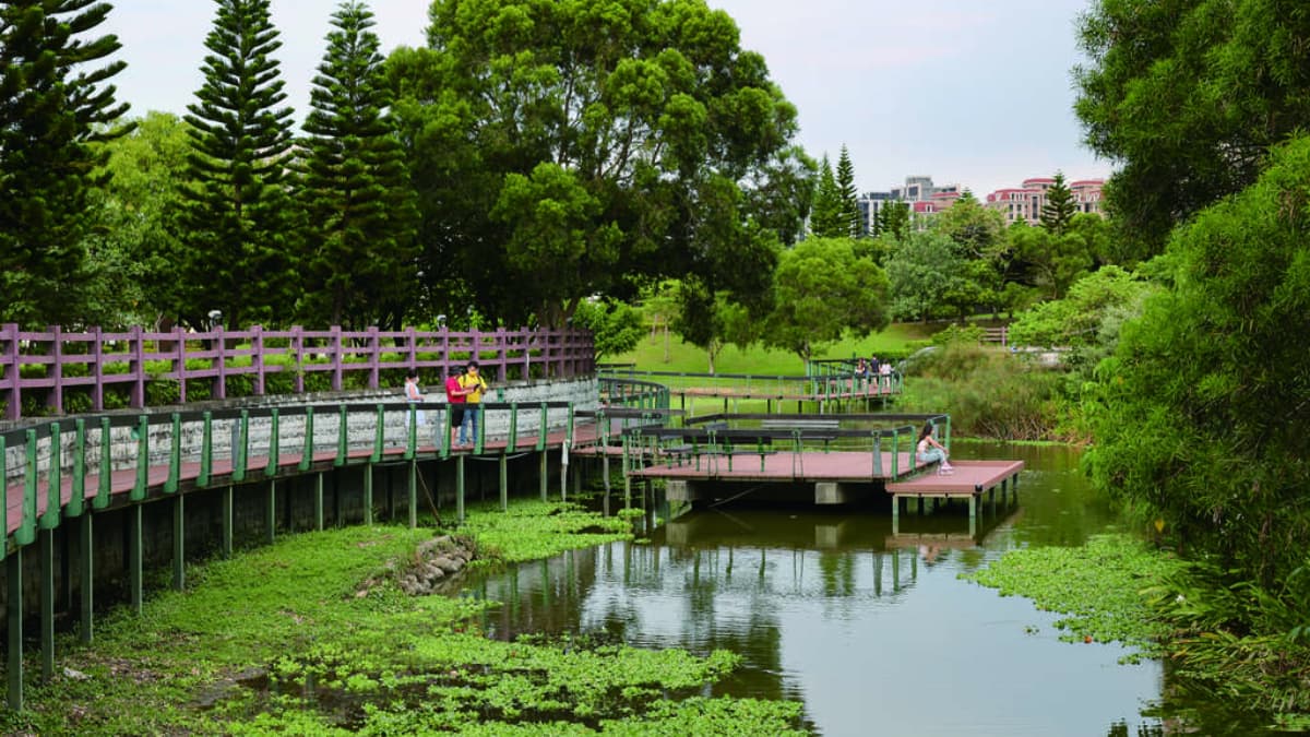 園區內有超美的湖岸景觀橋，走在上面就能一覽公園全景。（圖片來源：桃園觀光導覽網）