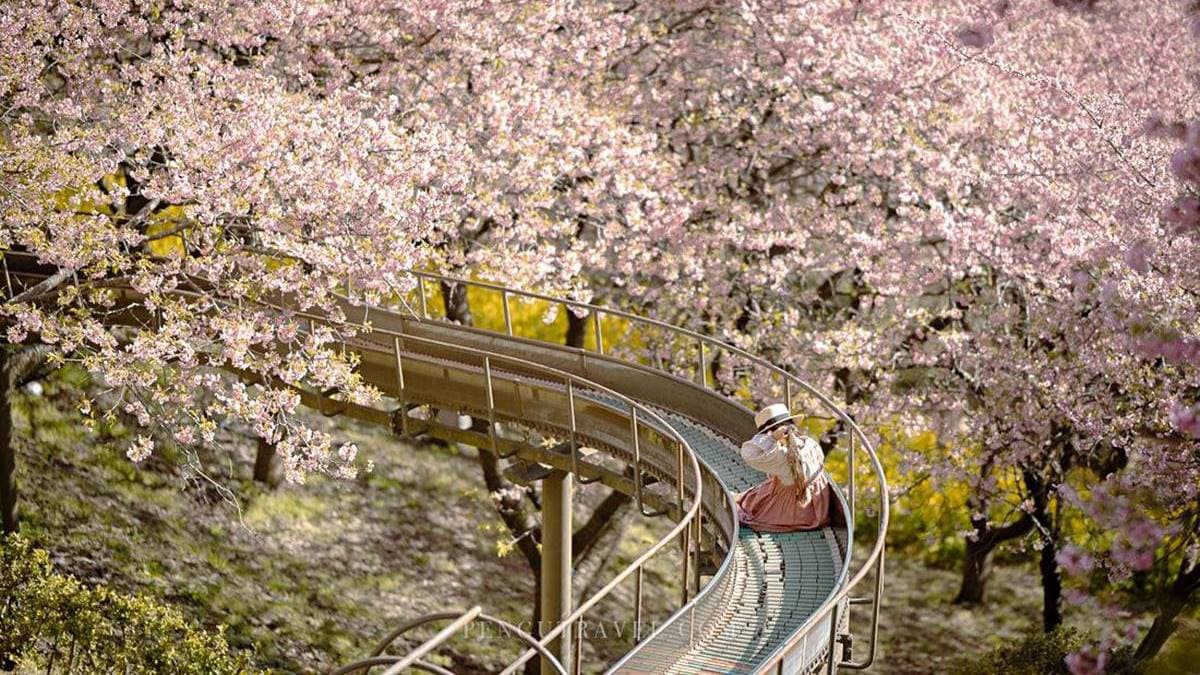 西平畑公園