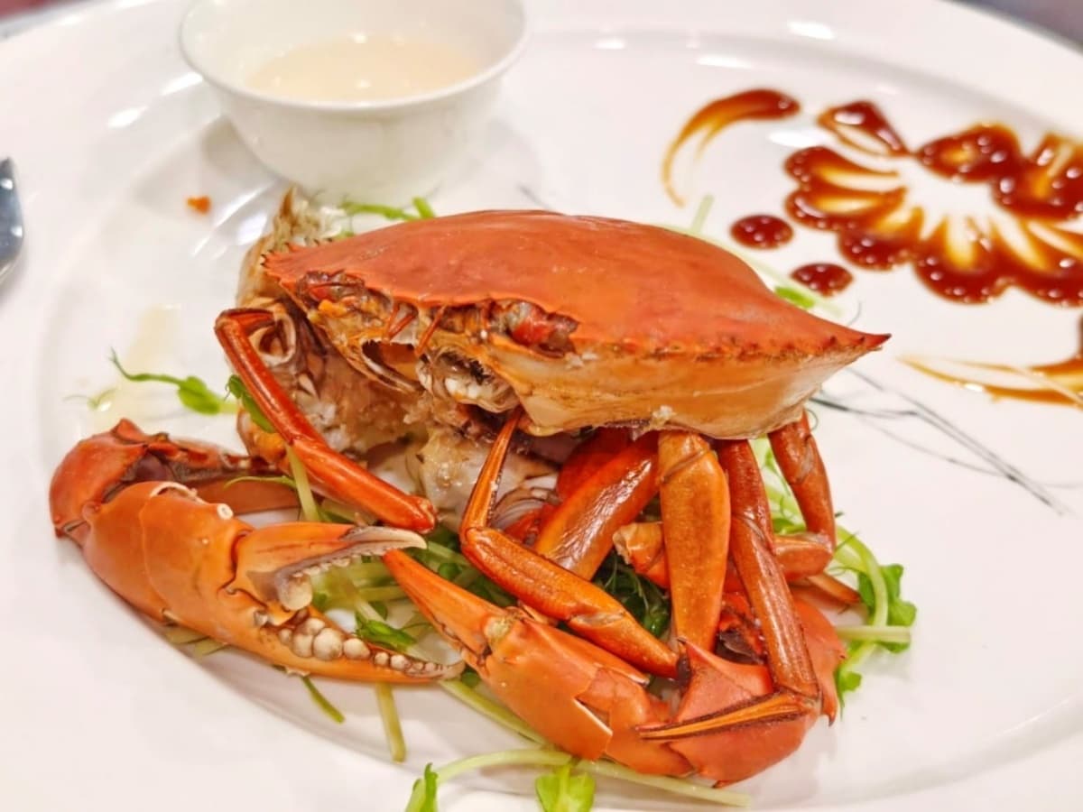 2025宜蘭綠色博覽會來了!宜蘭蘇澳一日遊美食推薦,春季親子旅遊首選 2025宜蘭綠色博覽會來了!宜蘭蘇澳一日遊美食推薦,春季親子旅遊首選