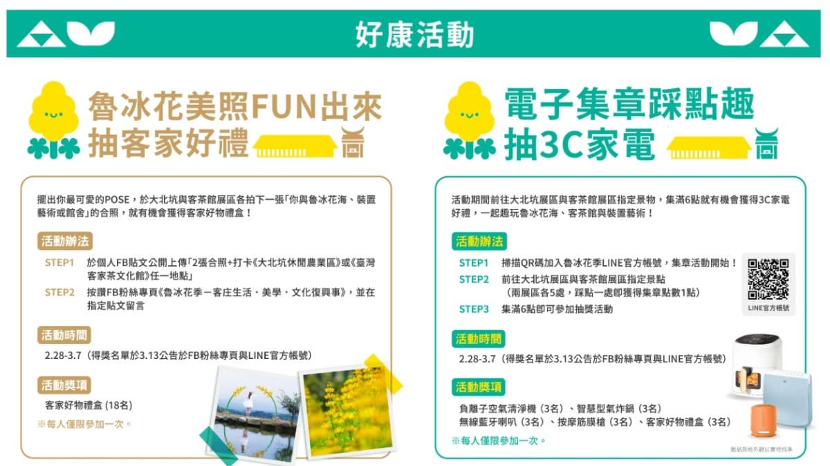 春遊賞花最美第一波!「桃園魯冰花季」滿山金黃花海盛開 春遊賞花最美第一波!「桃園魯冰花季」滿山金黃花海盛開