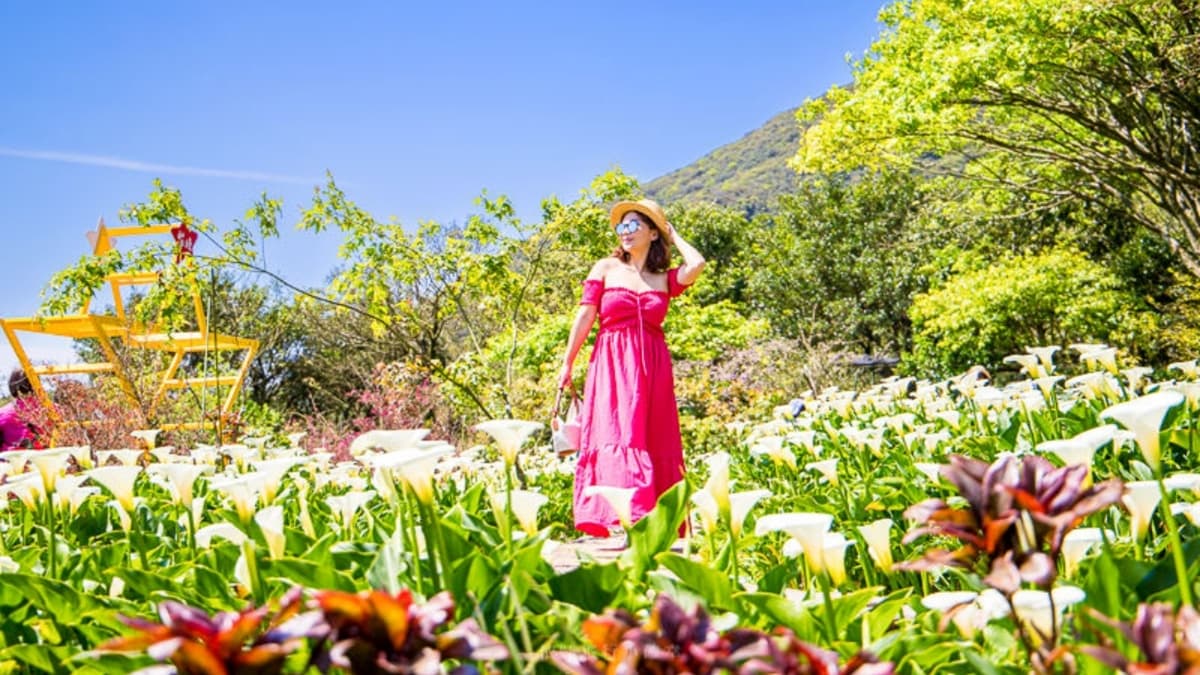 苗榜園內有各式造景，穿著粉色服飾拍起來更美唷！（圖片來源：依娃旅行小確幸）