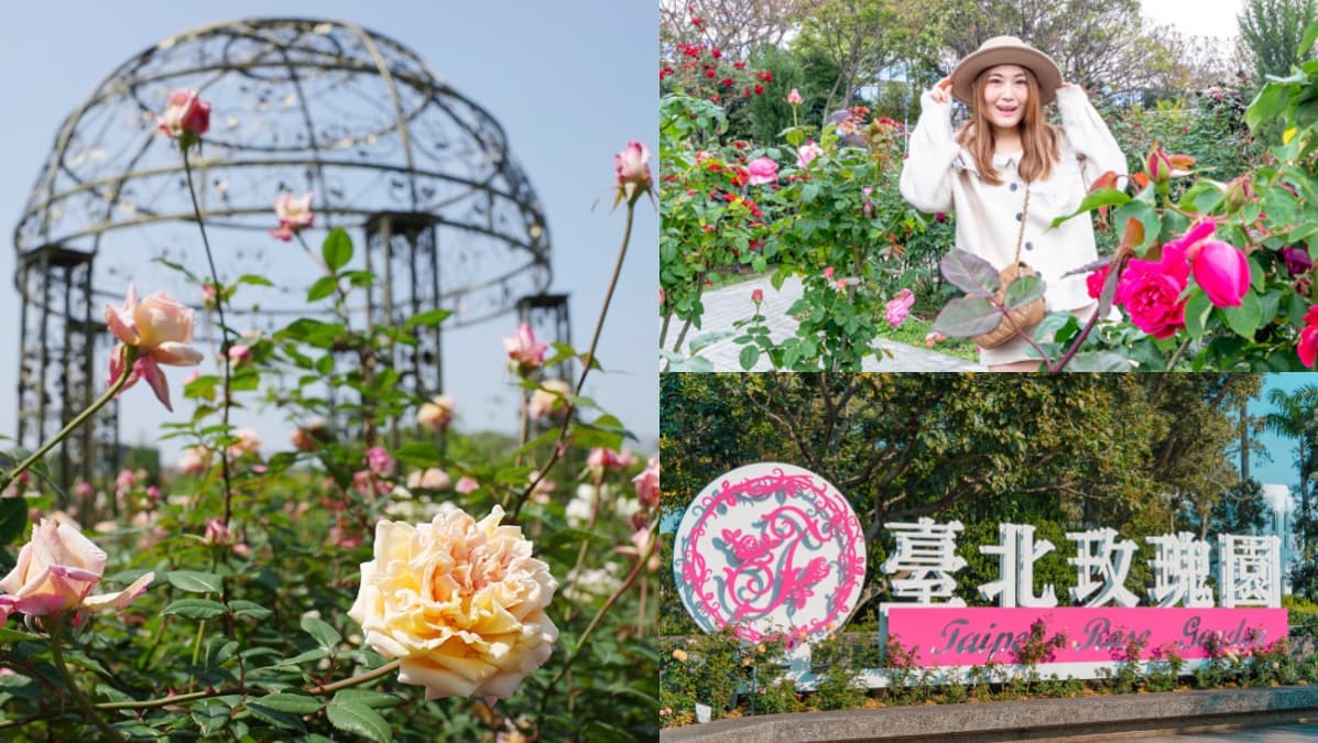 連續１個月免費入園！北台灣最大「台北玫瑰展」登場，花博１日遊景點＋美食推薦