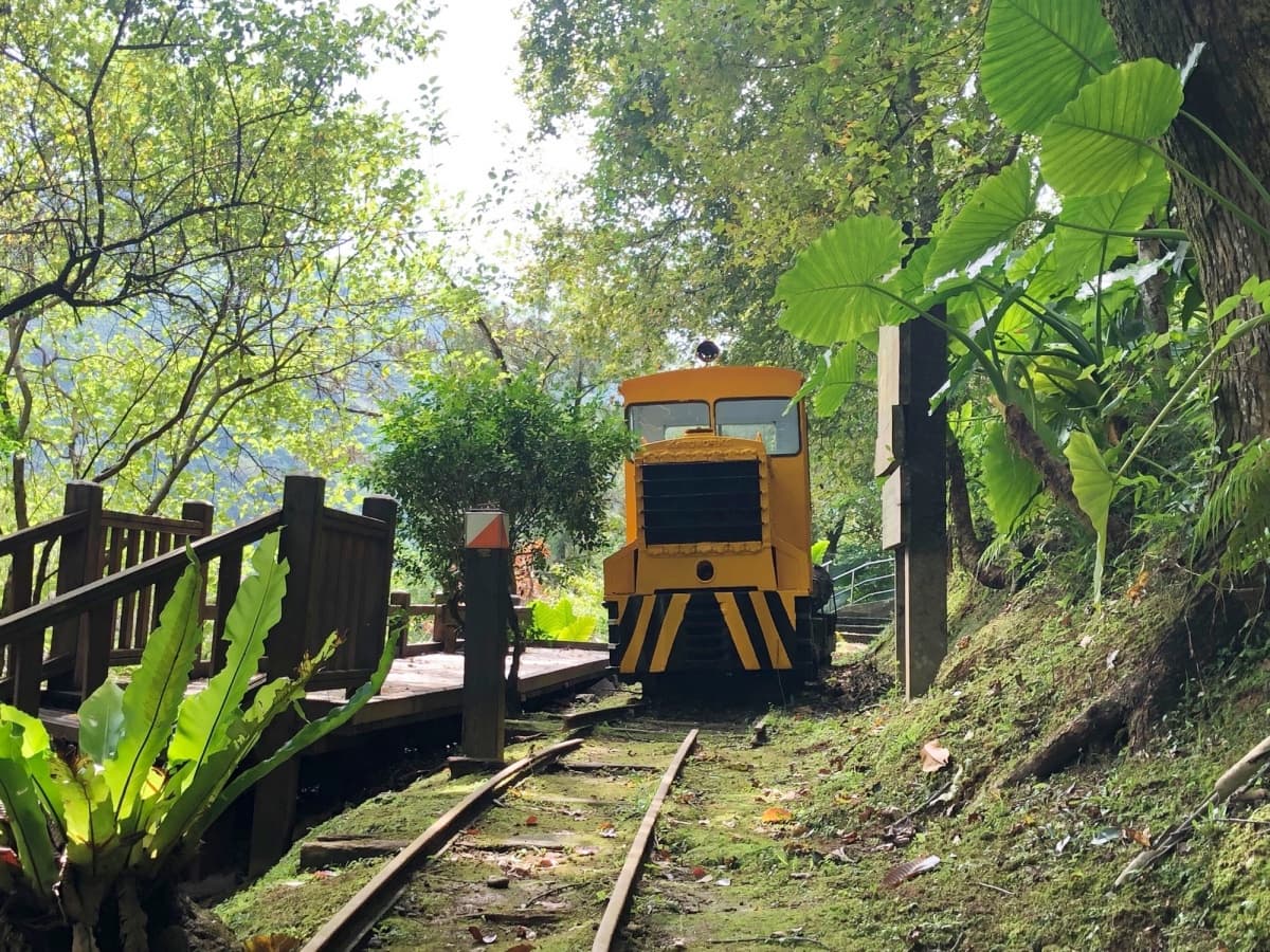 12歲以下免門票！全台最強「國家森林遊樂區」TOP13，免費搭小火車遊山林