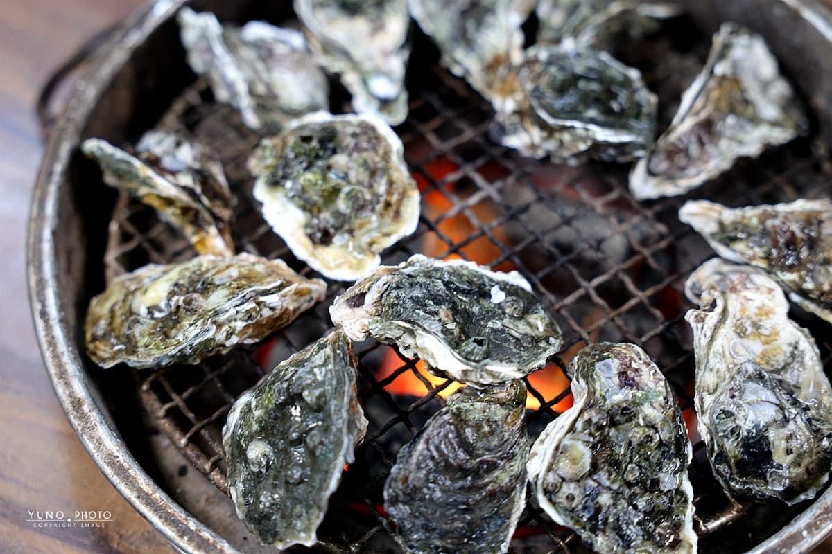 300元烤蚵吃到飽！鮮甜飽滿CP值超高，還有「烤鮮蚵攻略」海鮮控必收