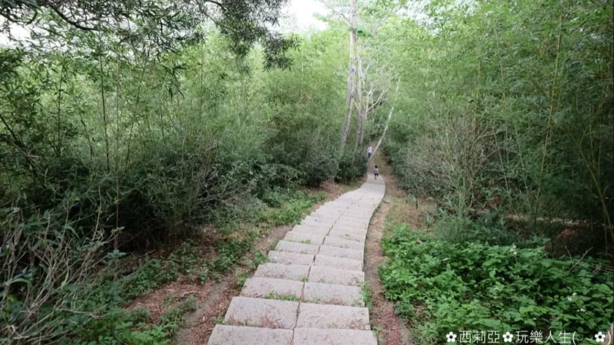 登山遊客沿途還能欣賞到壯麗山巒景觀。（圖片提供：西莉亞玩樂人生）