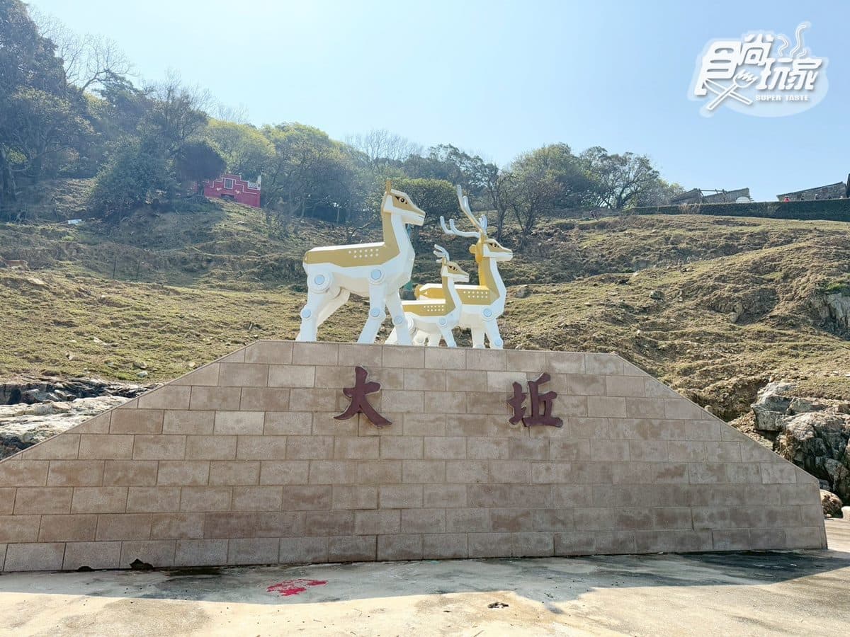 50元零距離餵小鹿！大坵島「台版小奈良」200隻梅花鹿，還能順遊「龍貓隧道」