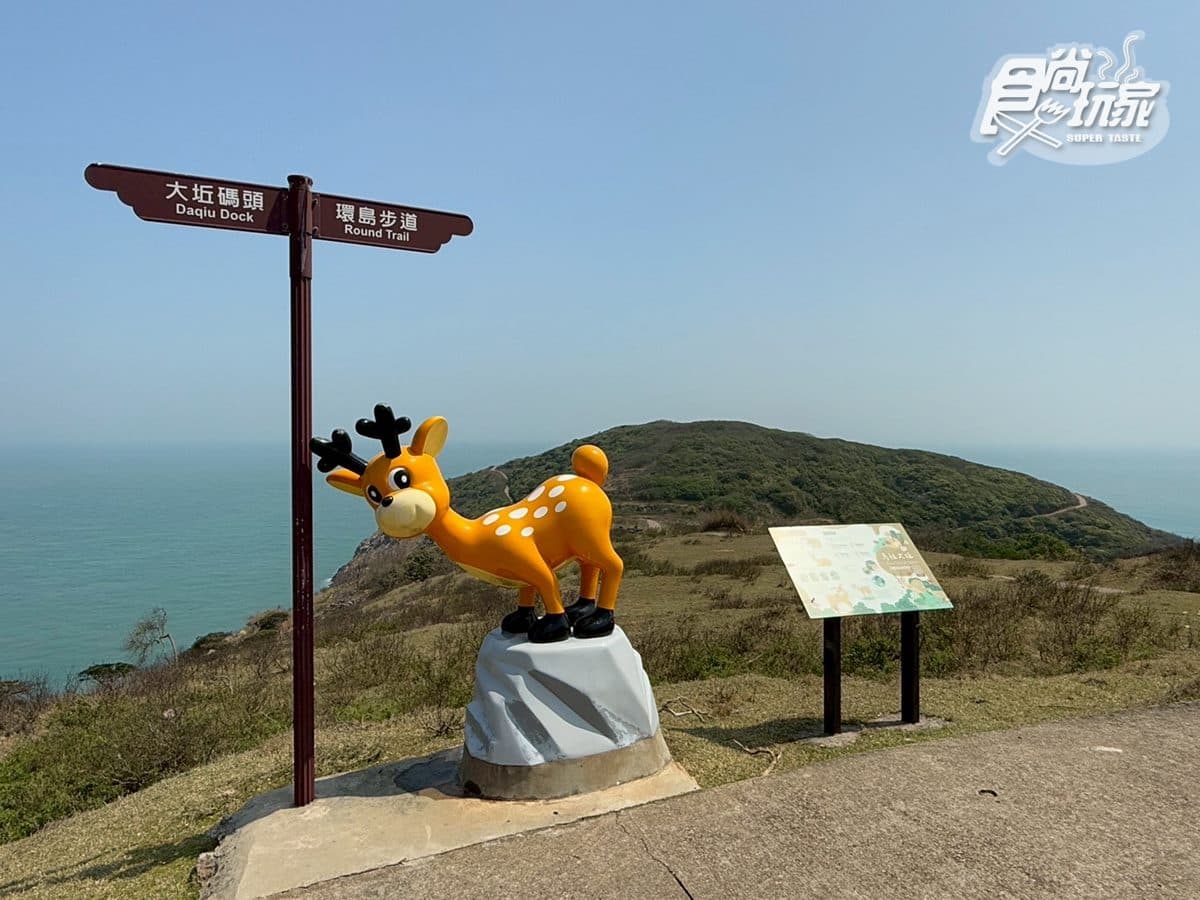 50元零距離餵小鹿！大坵島「台版小奈良」200隻梅花鹿，還能順遊「龍貓隧道」
