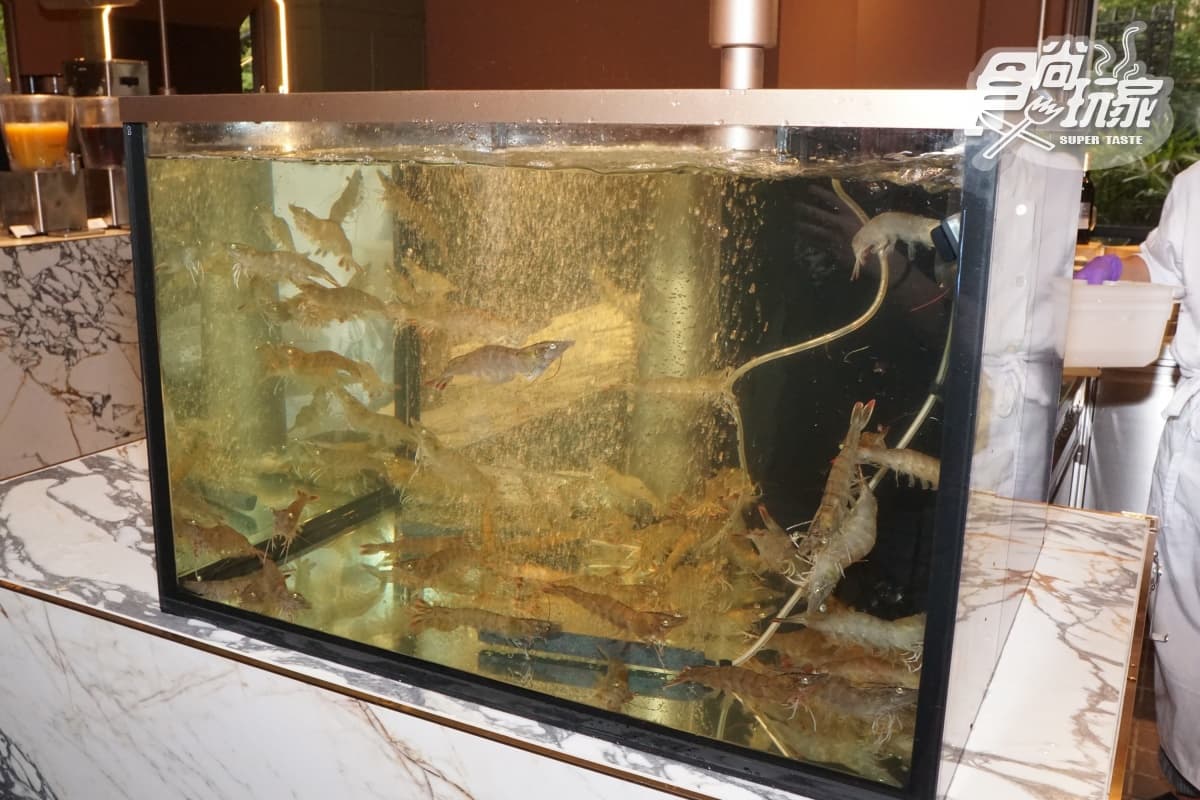 新竹頂級Buffet開幕!煙波飯店吃到飽改版升級,88折爽嗑和牛、活跳蝦、現流魚 新竹頂級Buffet開幕!煙波飯店吃到飽改版升級,88折爽嗑和牛、活跳蝦、現流魚