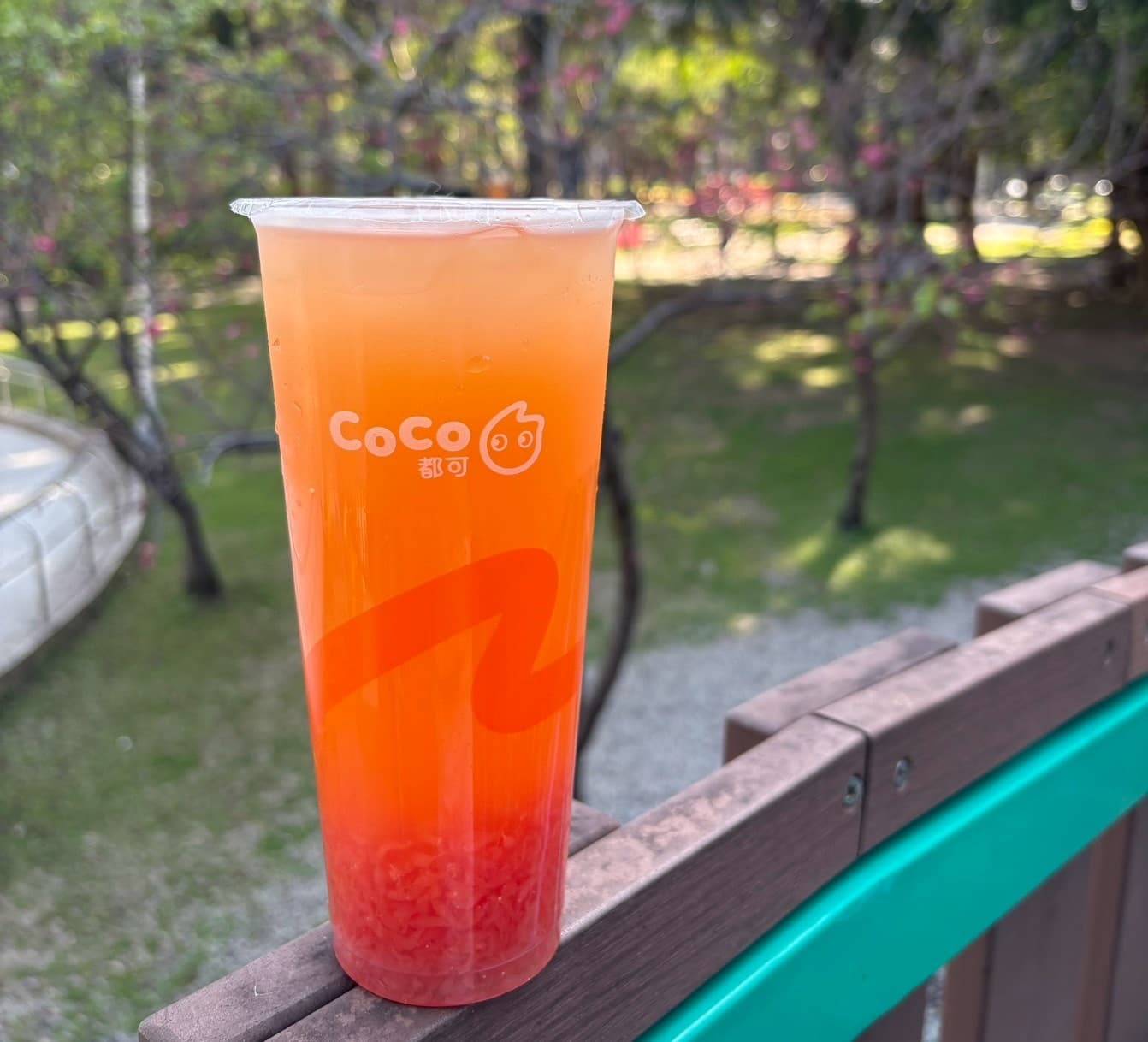 ３大手搖飲優惠包！CoCo買一送一、翰林茶館珍奶半價、麻古免費升級瓶裝