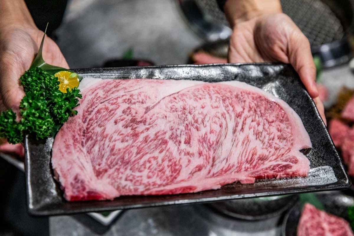 加99元和牛吃到飽!地表最強「燒肉吃到飽」手搖搬進店,手臂蝦、生蠔無限吃 加99元和牛吃到飽!地表最強「燒肉吃到飽」手搖搬進店,手臂蝦、生蠔無限吃