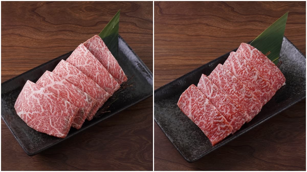 加99元和牛吃到飽!地表最強「燒肉吃到飽」手搖搬進店,手臂蝦、生蠔無限吃 加99元和牛吃到飽!地表最強「燒肉吃到飽」手搖搬進店,手臂蝦、生蠔無限吃