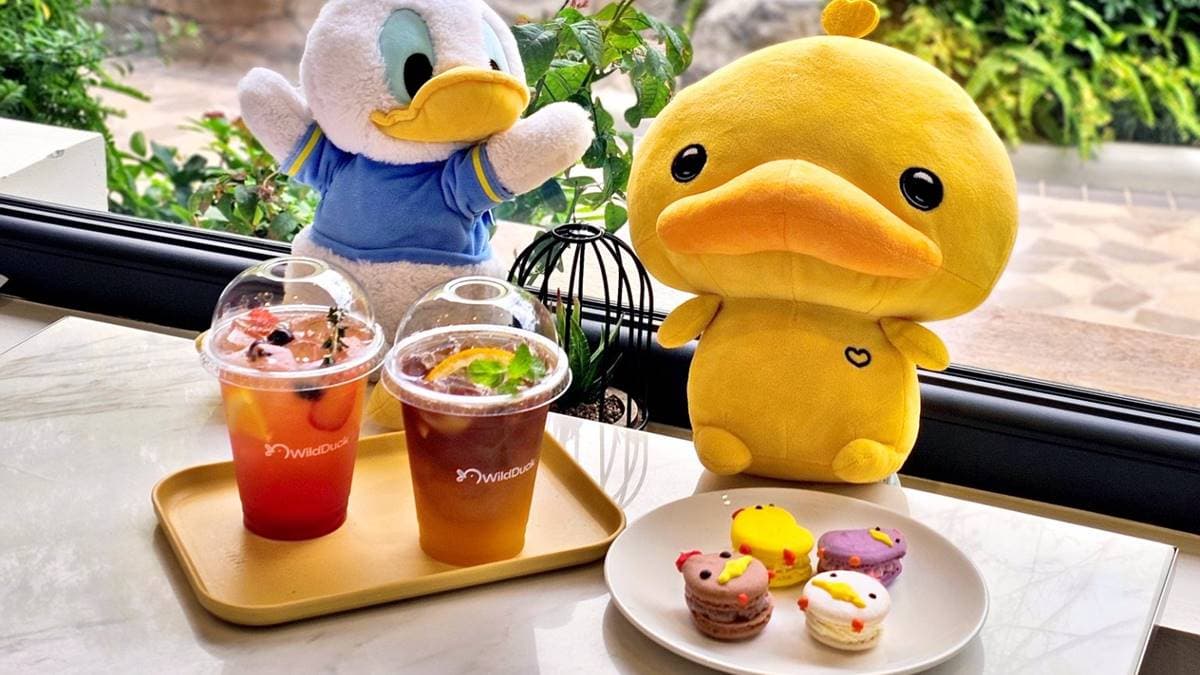 Wild Duck Cafe BKK