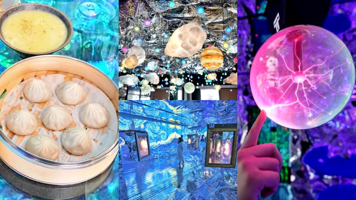 打卡爆紅「全台最美小籠包」在這!藏有迷你版teamLab,必拍4大沉浸式主題