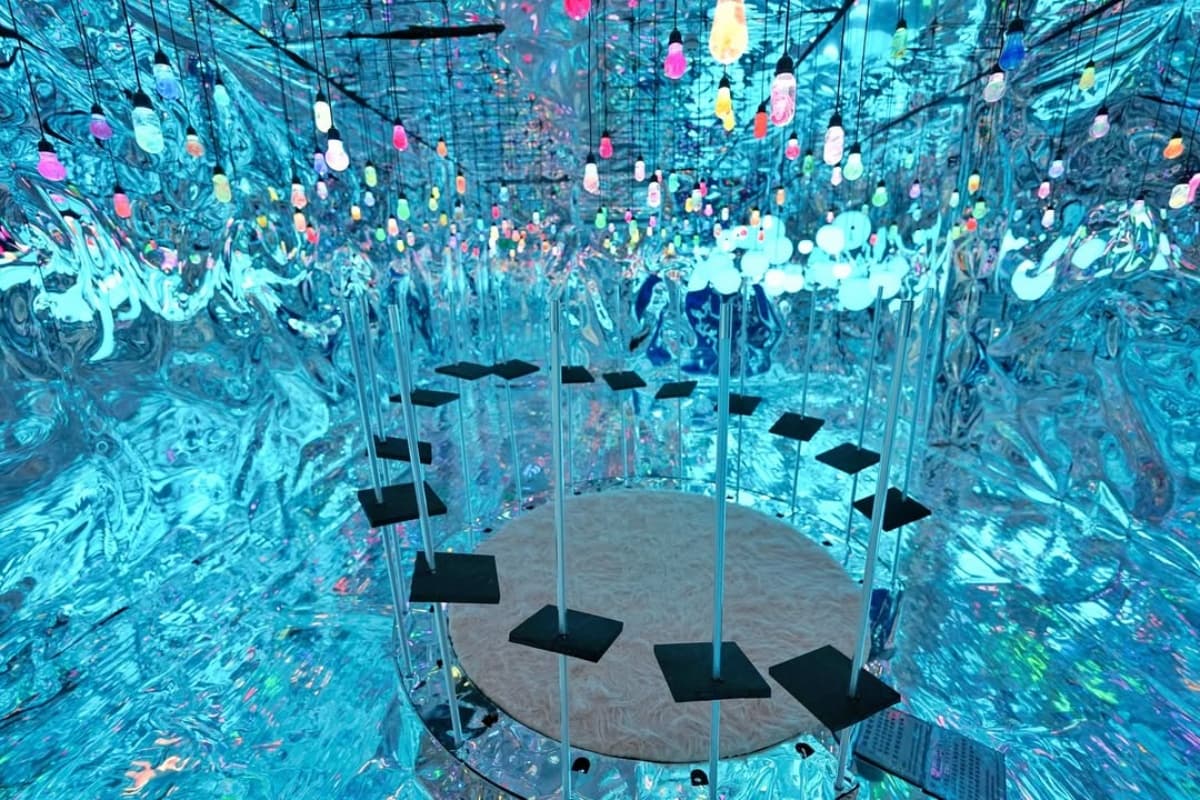打卡爆紅「全台最美小籠包」在這！藏有迷你版teamLab，必拍４大沉浸式主題