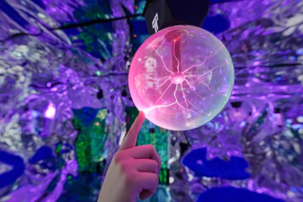 打卡爆紅「全台最美小籠包」在這！藏有迷你版teamLab，必拍４大沉浸式主題