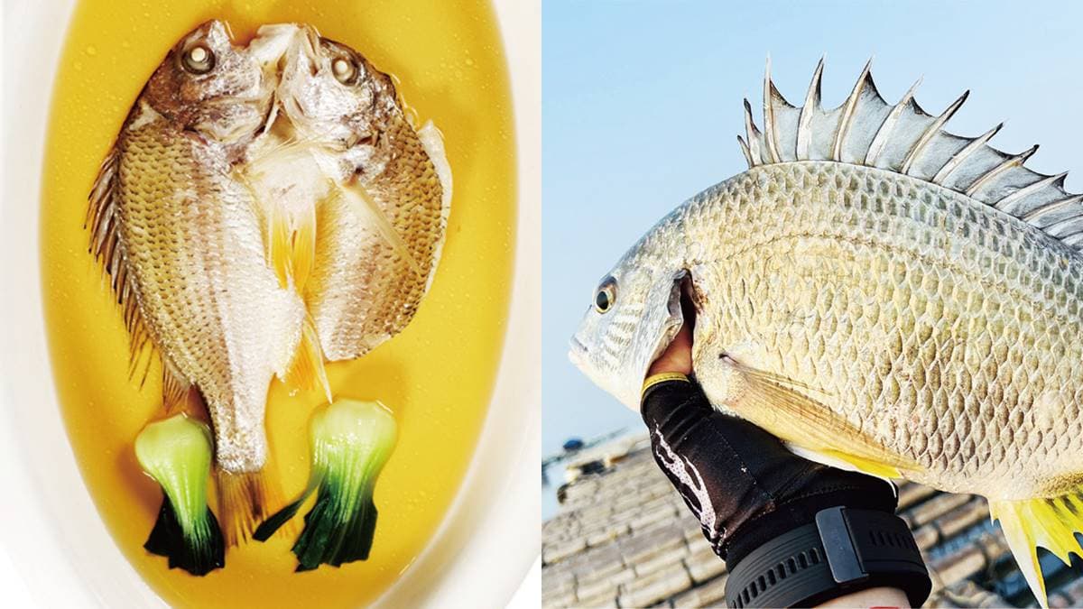 閩南人最愛！號稱「最好吃的變性魚」，野生、養殖價差大當心別上當