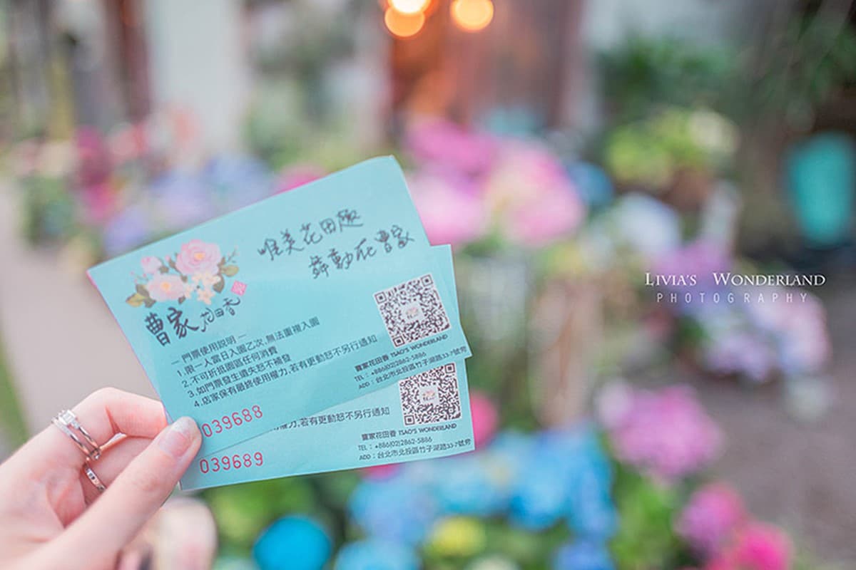 2025竹子湖繡球花季開跑！台北最美繡球花海在這，門票150元可全額抵消費