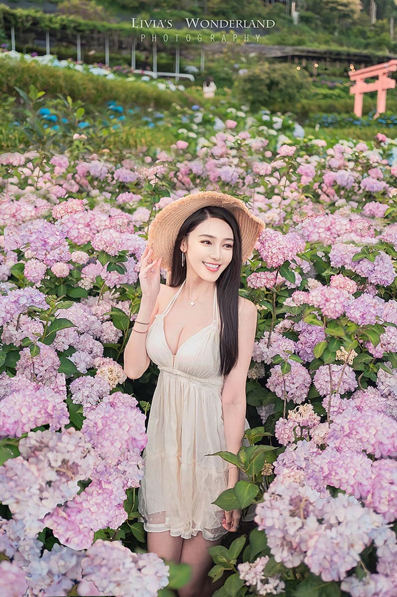 2025竹子湖繡球花季開跑！台北最美繡球花海在這，門票150元可全額抵消費