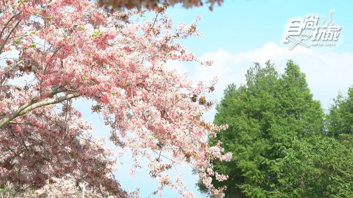 二水花旗木鐵道