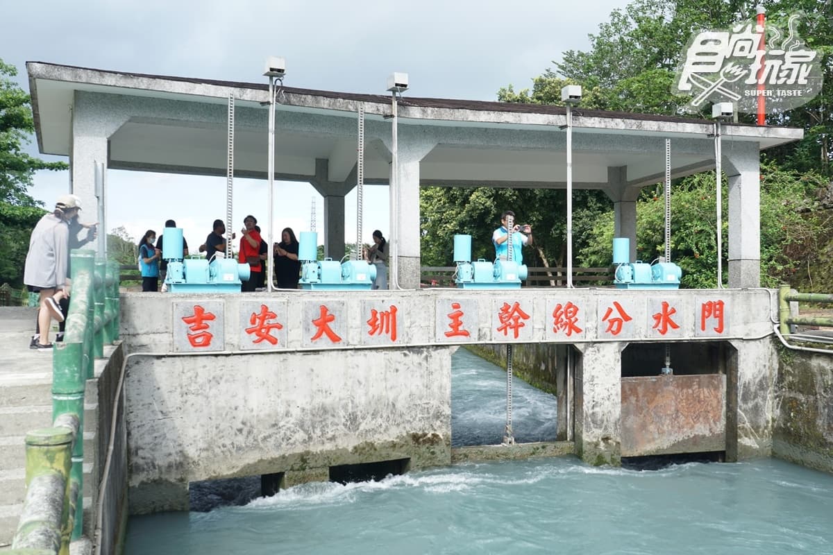 超狂皮蛋冰淇淋這裡吃！花蓮吉安８大亮點：百年日式寺院、楓林步道美拍（中獎公布）