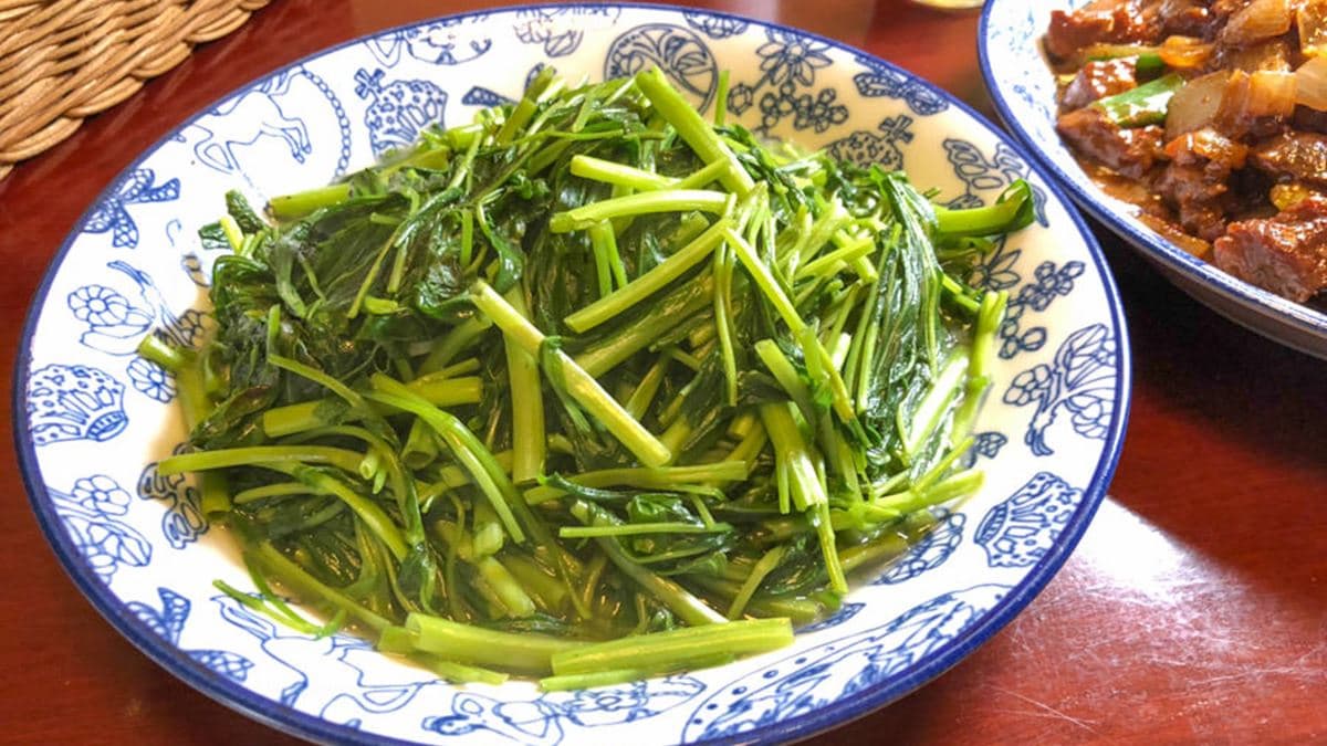 青菜或者肉盤都是滿滿的，很實在啊！（圖片來源：熱血玩台南。跳躍新世界）