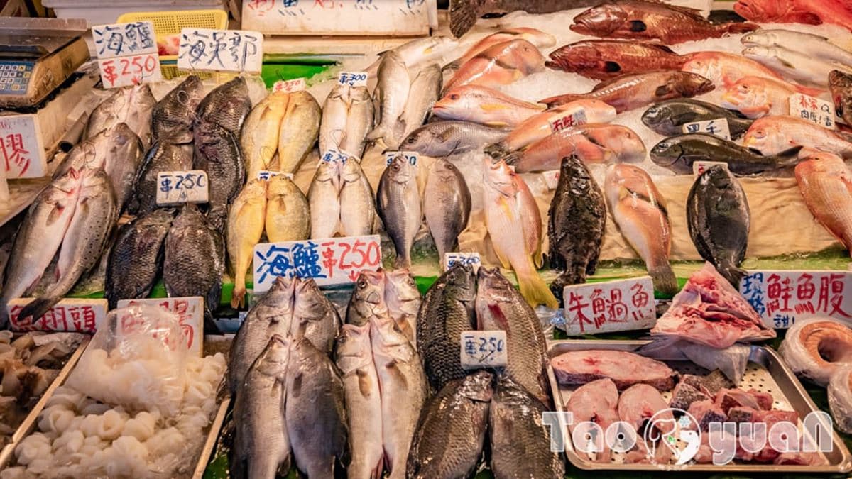新鮮海產、魚貨，可以多比較幾間再決定。（圖片來源：小菲親子玩樂生活）