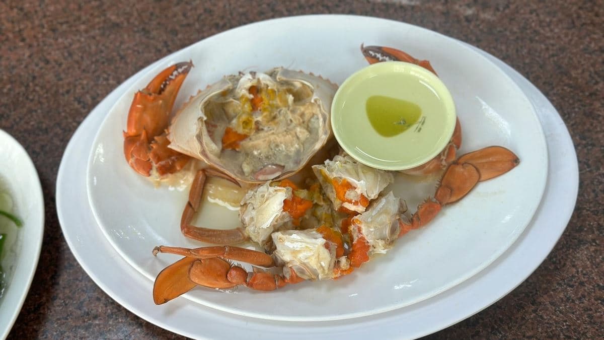 清蒸料理的沙母，體積算大還抱蛋。（圖片來源：皮皮爬爬GO)