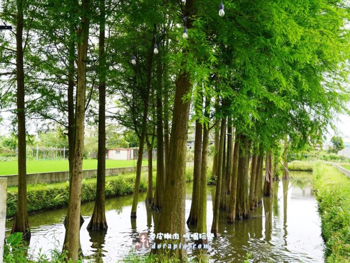 宜蘭超夯「包棟民宿」５折快搶！星巴克咖啡、零食無限暢吃，還有電動麻將桌
