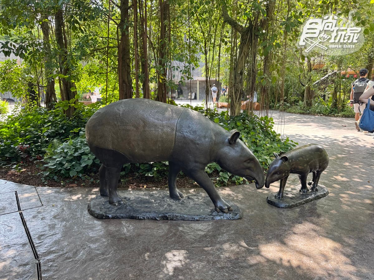 亞洲首座「雨林野生探險園」開幕!5大亮點攻略搶看:36種珍稀動物、洞穴探險 亞洲首座「雨林野生探險園」開幕!5大亮點攻略搶看:36種珍稀動物、洞穴探險