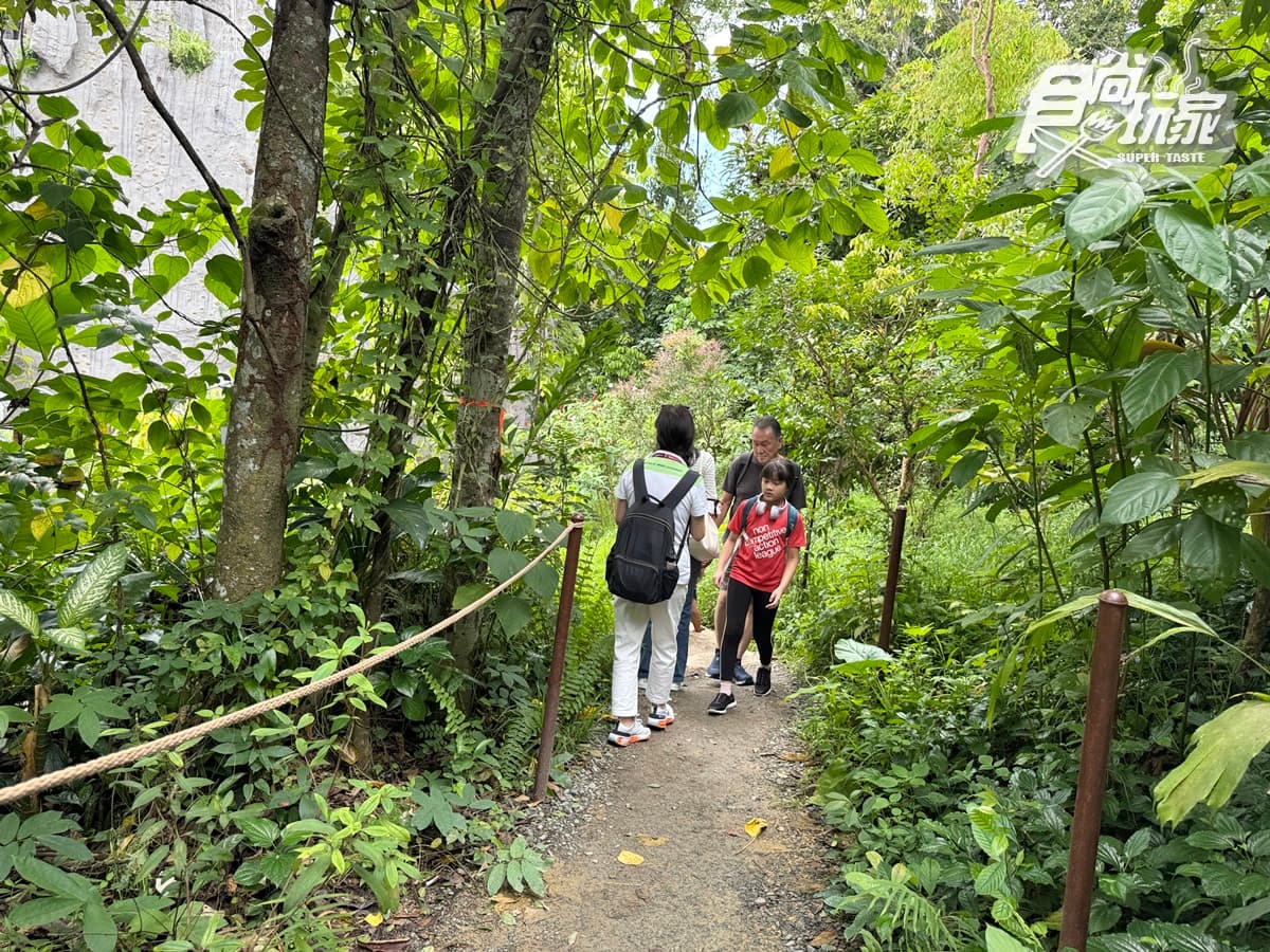 亞洲首座「雨林野生探險園」開幕!5大亮點攻略搶看:36種珍稀動物、洞穴探險 亞洲首座「雨林野生探險園」開幕!5大亮點攻略搶看:36種珍稀動物、洞穴探險