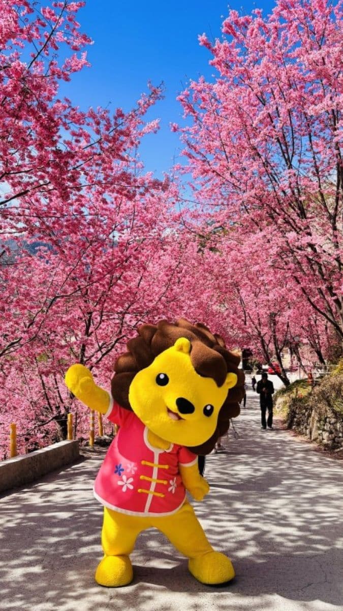 「森遊竹縣皮皮獅探險隊」出發！解鎖新竹縣10條步道換限量好禮