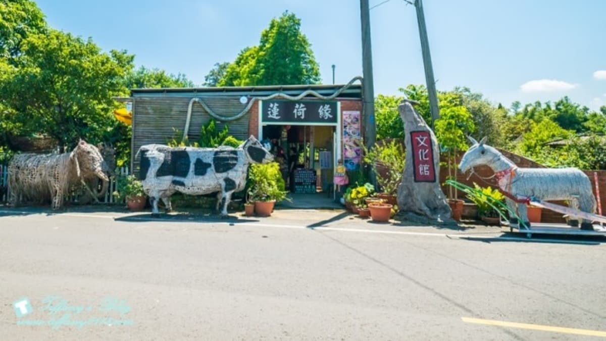 「蓮荷園休閒農場」地點位於桃園市觀音區，是相當知名的大王蓮景點。（圖片來源：小佳的幻想世界）