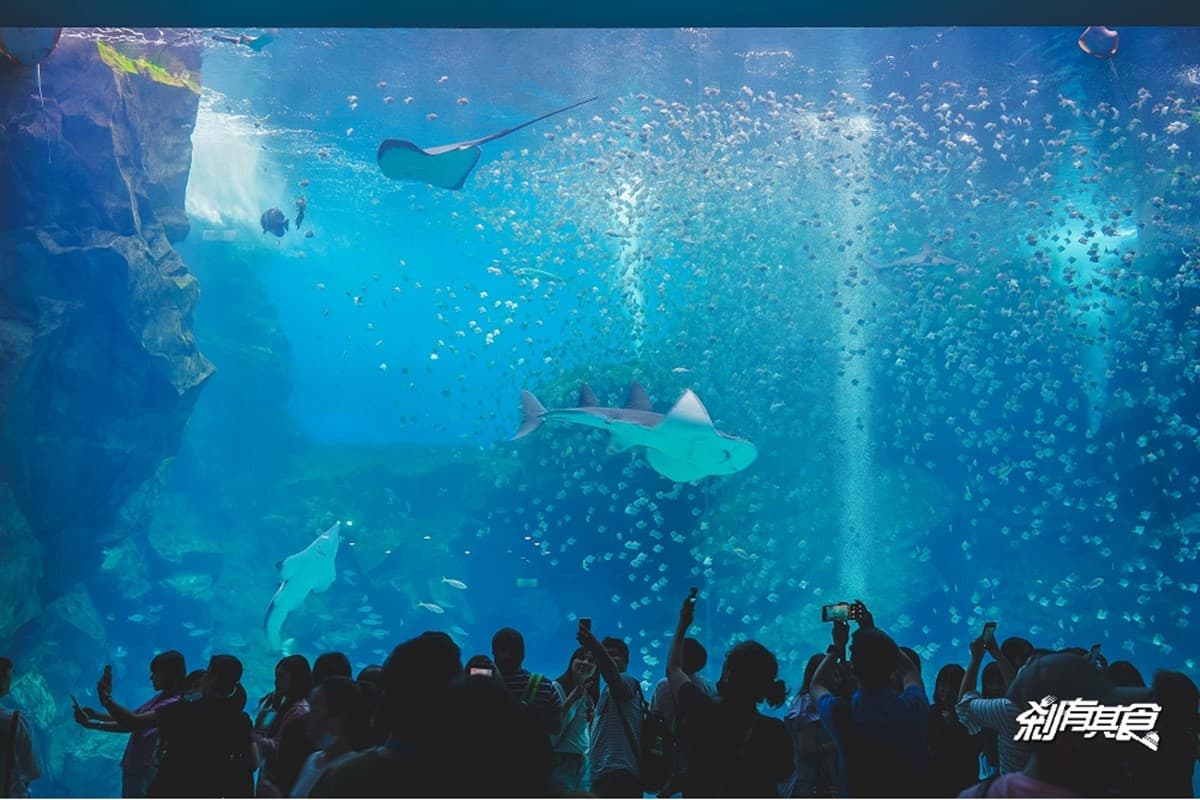 2026 Xpark 桃園水族館全攻略!最新活動、門票優惠、必看亮點、美食推薦 2026 Xpark 桃園水族館全攻略!最新活動、門票優惠、必看亮點、美食推薦