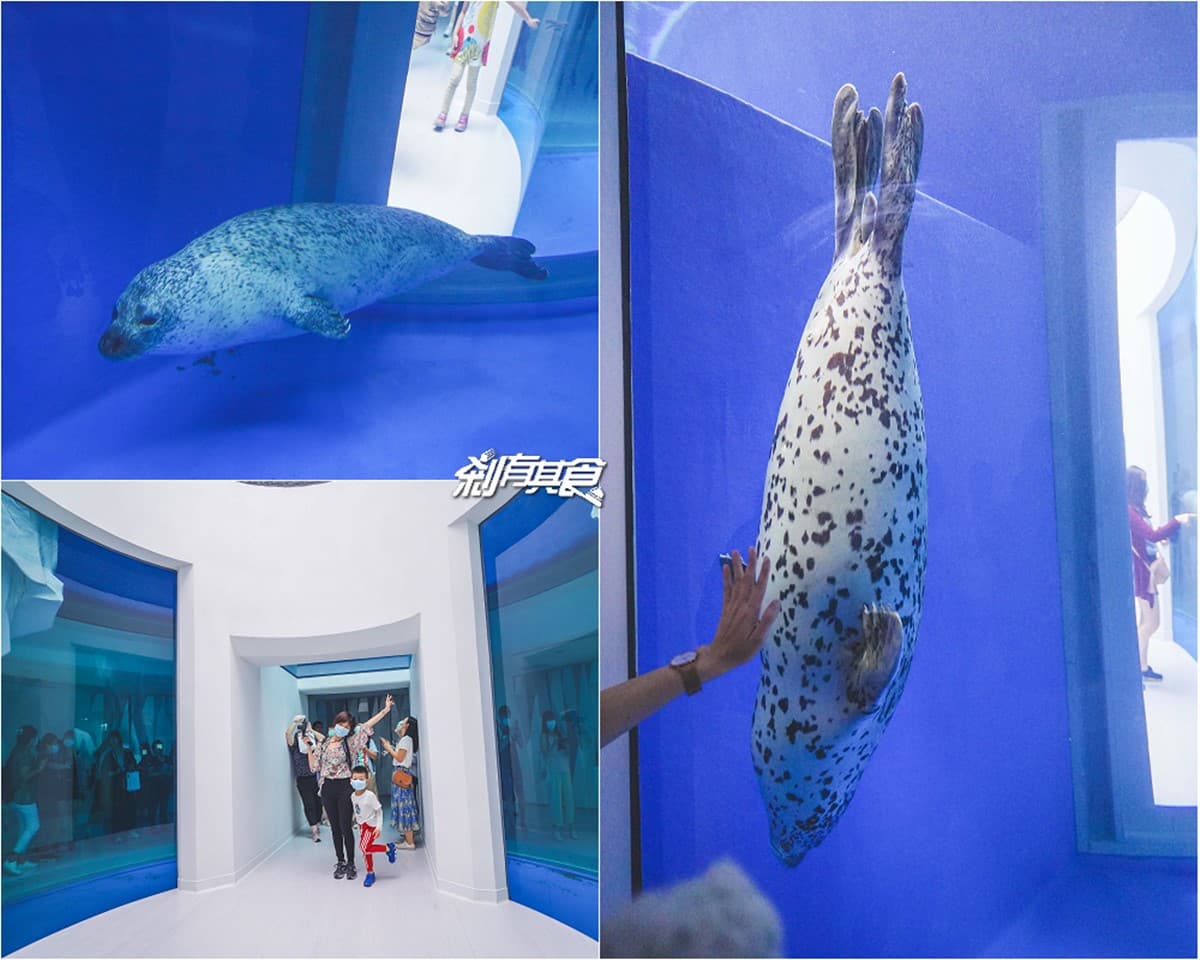 2026 Xpark 桃園水族館全攻略!最新活動、門票優惠、必看亮點、美食推薦 2026 Xpark 桃園水族館全攻略!最新活動、門票優惠、必看亮點、美食推薦