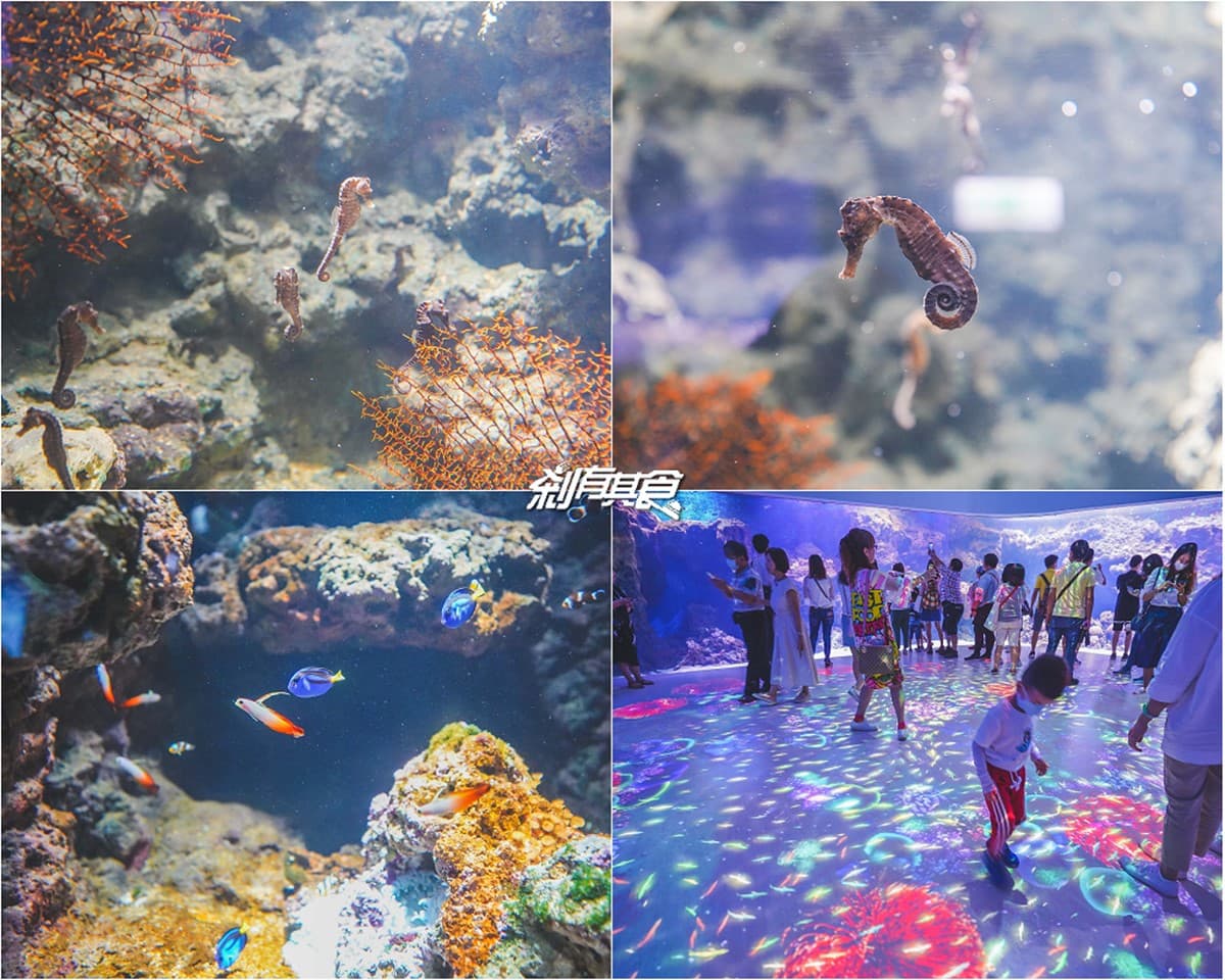 2026 Xpark 桃園水族館全攻略!最新活動、門票優惠、必看亮點、美食推薦 2026 Xpark 桃園水族館全攻略!最新活動、門票優惠、必看亮點、美食推薦
