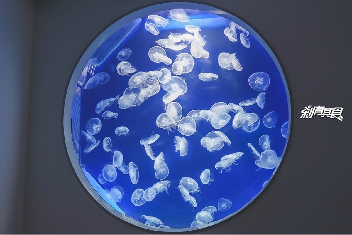 2026 Xpark 桃園水族館全攻略!最新活動、門票優惠、必看亮點、美食推薦 2026 Xpark 桃園水族館全攻略!最新活動、門票優惠、必看亮點、美食推薦