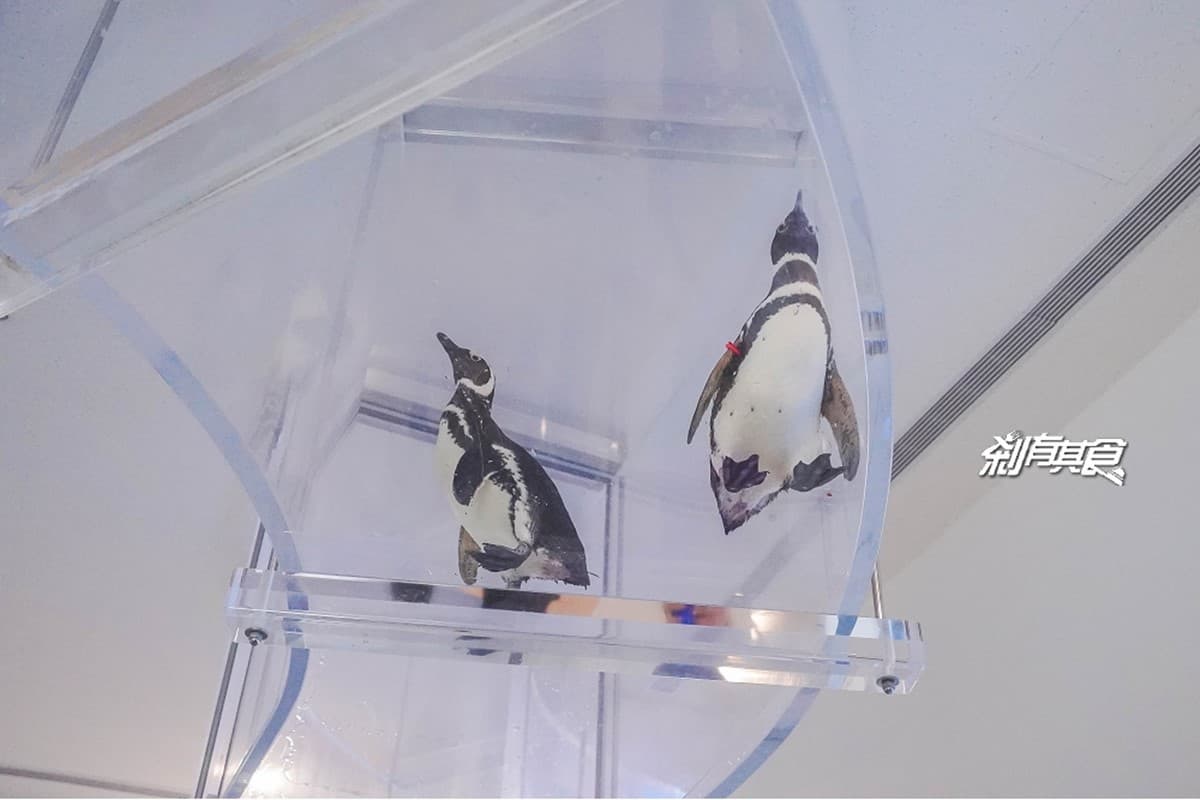 2026 Xpark 桃園水族館全攻略!最新活動、門票優惠、必看亮點、美食推薦 2026 Xpark 桃園水族館全攻略!最新活動、門票優惠、必看亮點、美食推薦