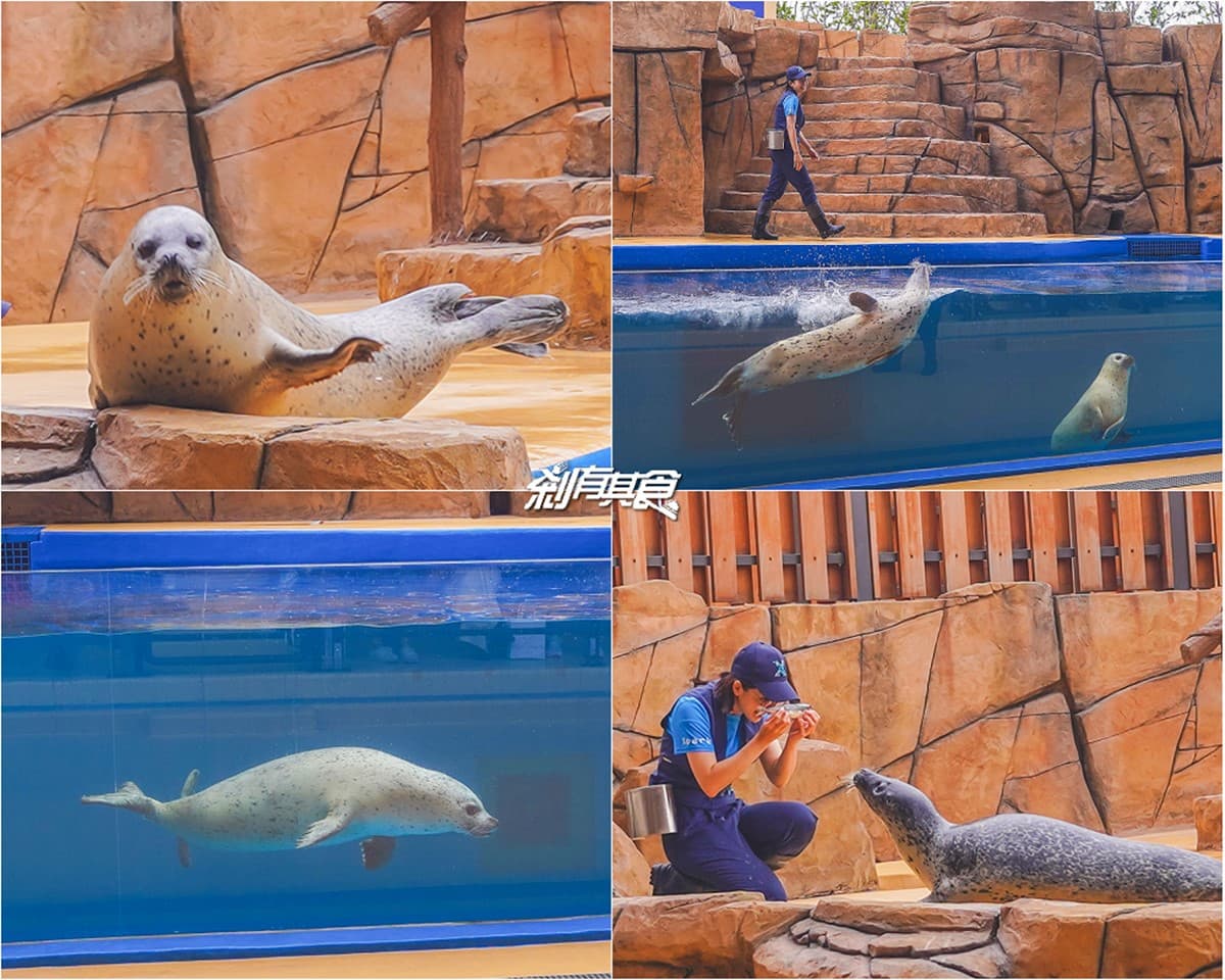 2026 Xpark 桃園水族館全攻略!最新活動、門票優惠、必看亮點、美食推薦 2026 Xpark 桃園水族館全攻略!最新活動、門票優惠、必看亮點、美食推薦