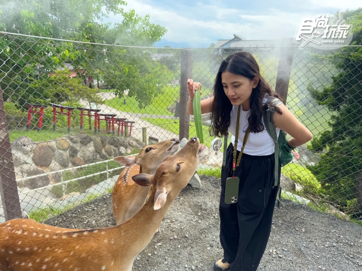 續住第2晚40元!爽住墾丁海景第一排酒店,宜蘭親子飯店每人2,072元起 宜蘭全新「卡比巴拉」主題滑索!跨湖欣賞絕美日式庭園,餵食呆萌水豚超療癒