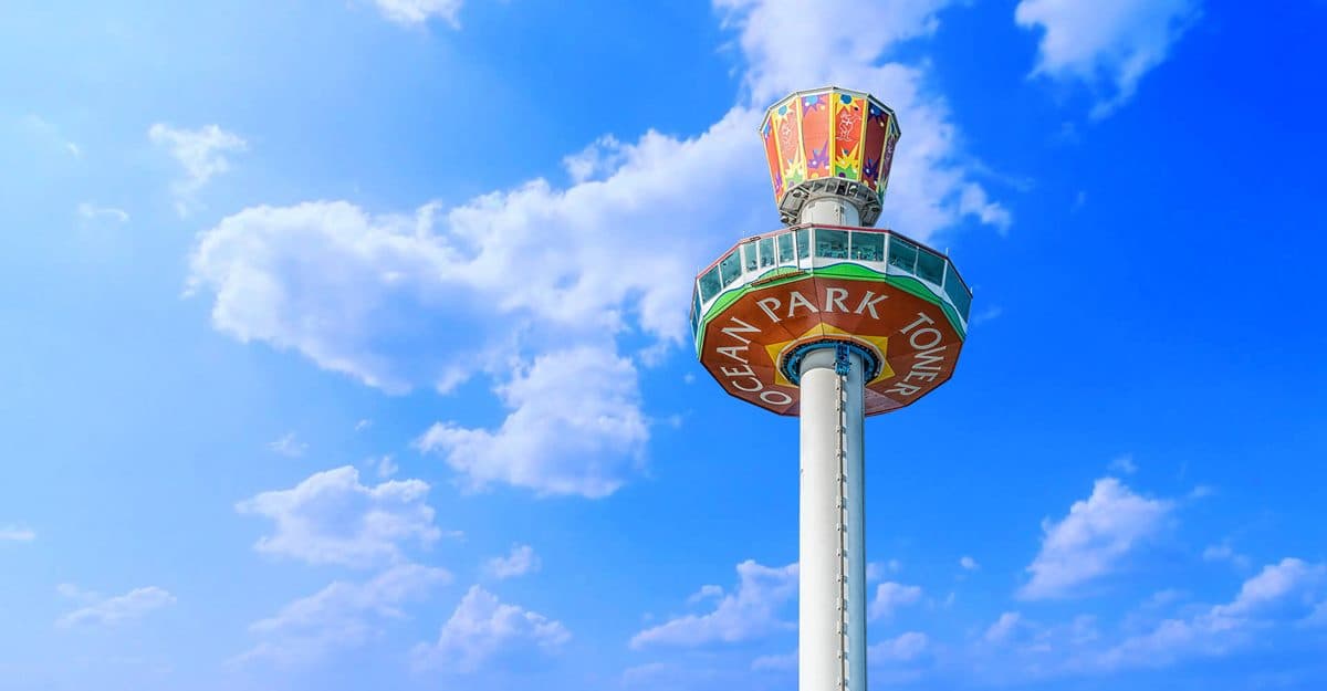 2026香港海洋公園全攻略！門票優惠、必玩設施一次收，近距離看熊貓＋狐獴（中獎公布）